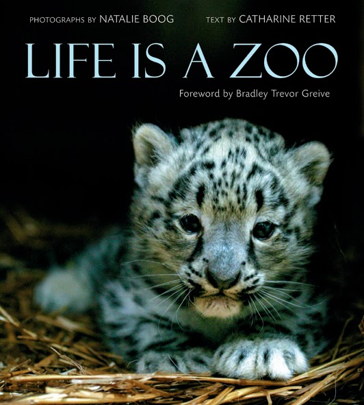 LIFE IS A ZOO